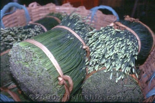 Chinese chive flowers