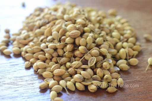 coriander