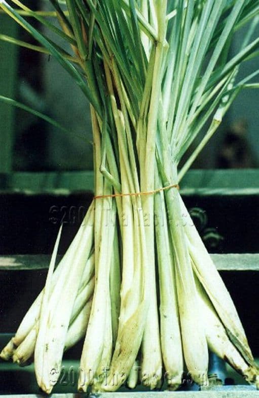 lemon grass