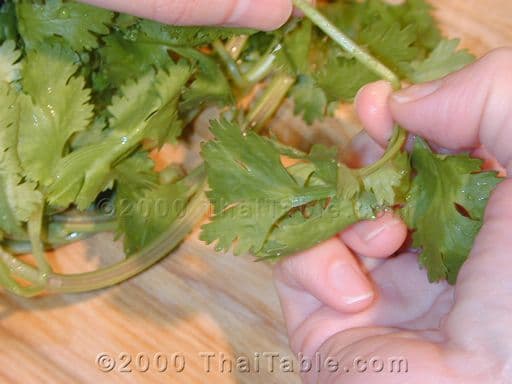 Chicken on Rice with Hot Yellow Bean Sauce step 6
