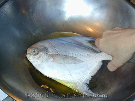 Crispy Pomfret step 2