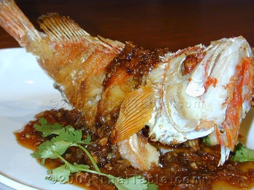 Fried Fish with Tamarind Sauce