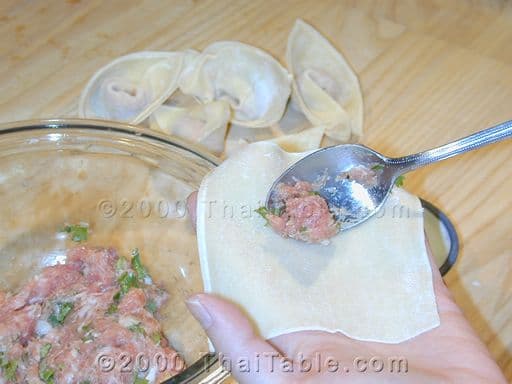 Fried Wontons step 3