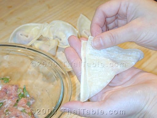 Fried Wontons step 4