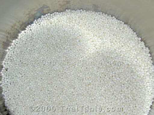 Tapioca Pudding with Young Coconut step 1