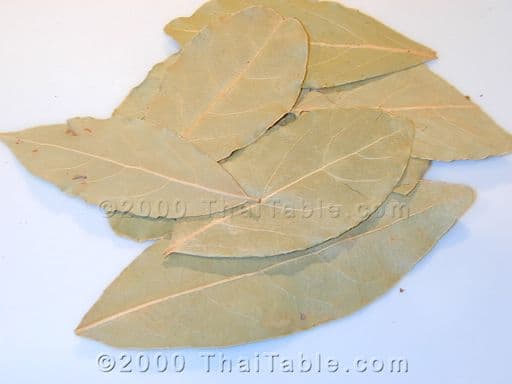 bay leaf