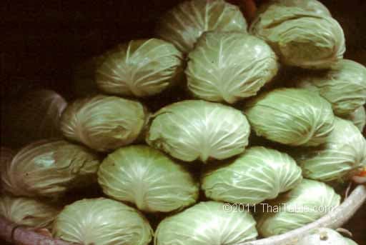 cabbage
