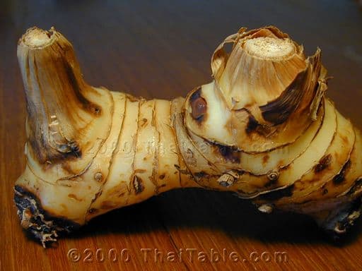 galangal