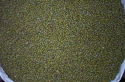 mung beans